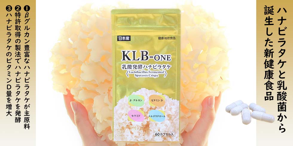 乳酸発酵ハナビラタケ　KLB-ONE